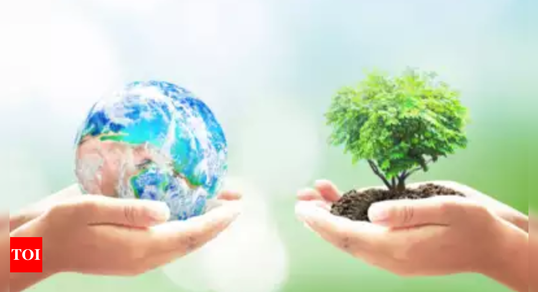 Planting a clean environmentree | Lucknow News