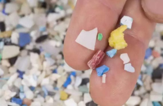 Why tiny plastic particles have become a big health concern | India News