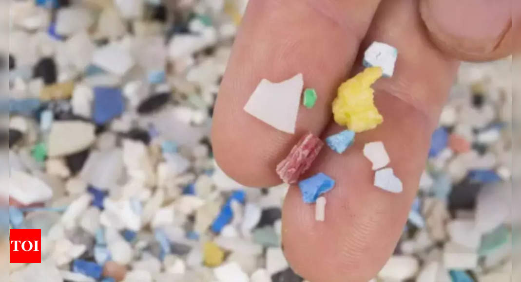 Why tiny plastic particles have become a big health concern | India News