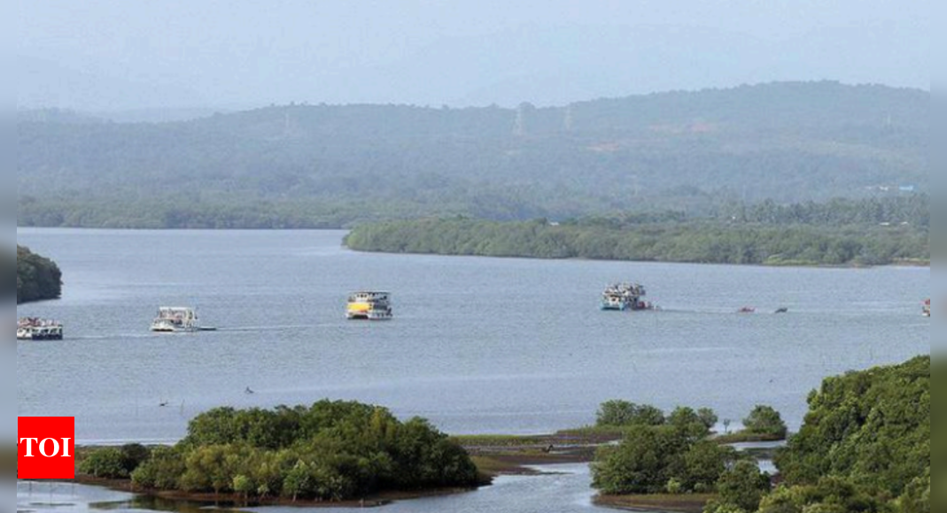 Microplastic concentrations in Zuari, Mandovi take a dip post-Covid: NIO | Goa News