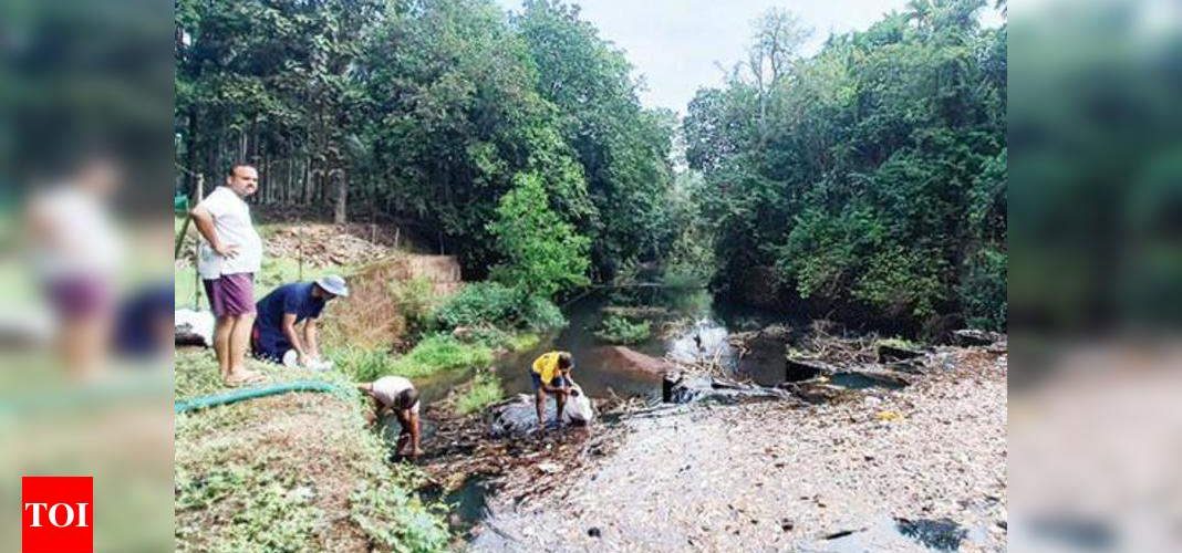 Dabal farmers’ clean-up exercise shows results, waste in river reduces | Goa News