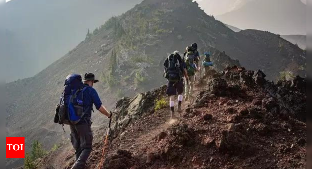 Karnataka orders temporary ban on trekking in forests | Bengaluru News