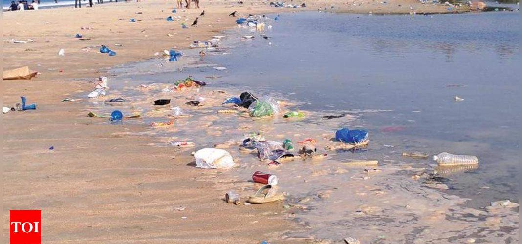 Year-end parties make Salcete coast a plastic wasteland, beaches littered | Goa News