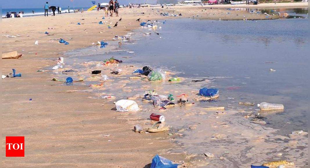 Year-end parties make Salcete coast a plastic wasteland, beaches littered | Goa News