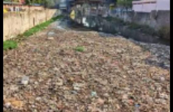 Buckingham Canal choked with garbage and sewage | Chennai News