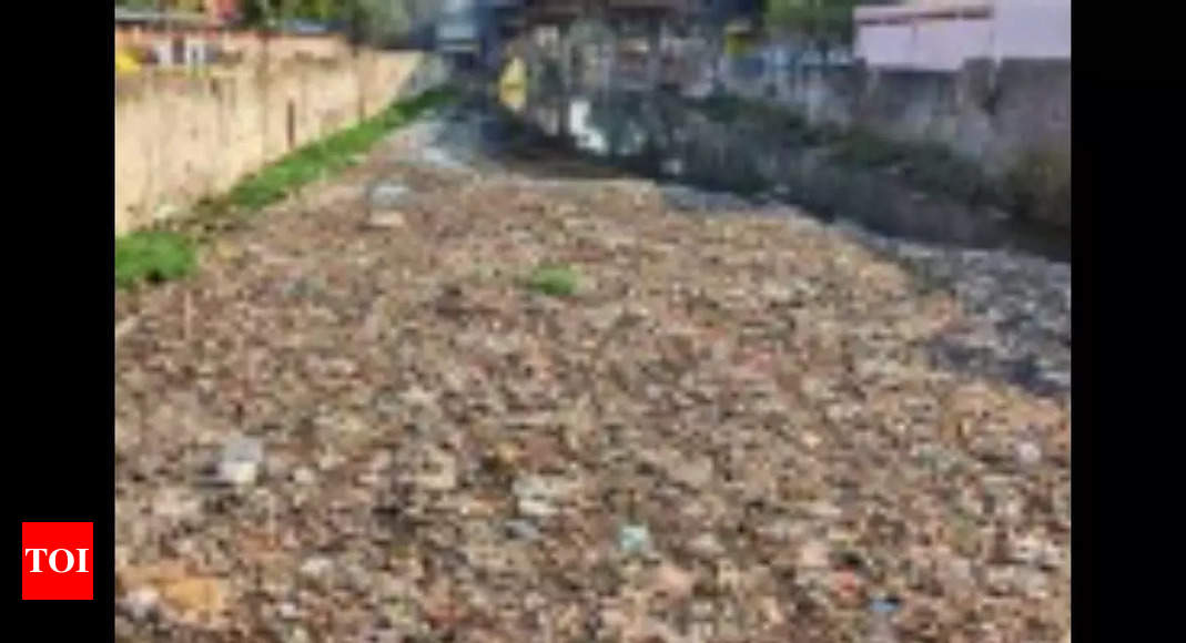 Buckingham Canal choked with garbage and sewage | Chennai News