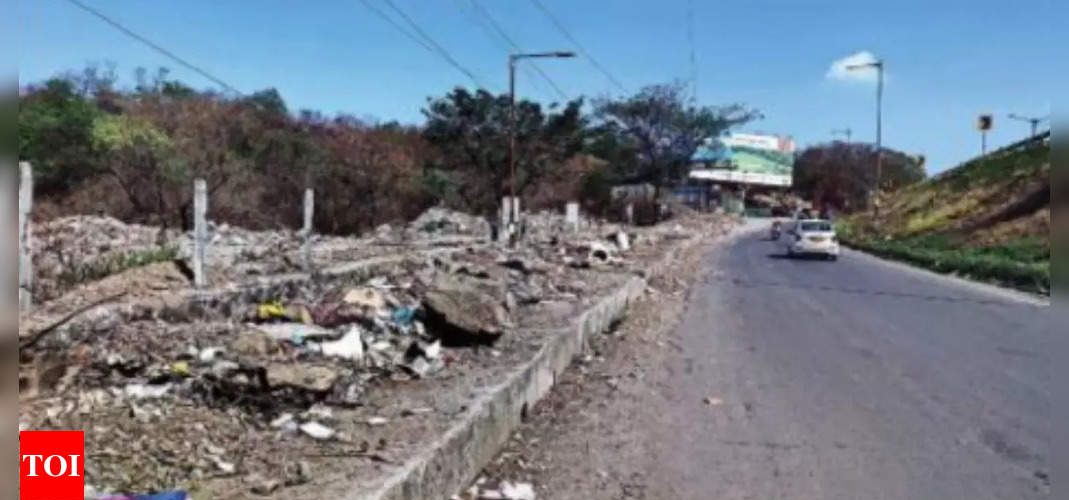 Service Road Between Wakad & Warje A Garbage Dumping Spot | Pune News