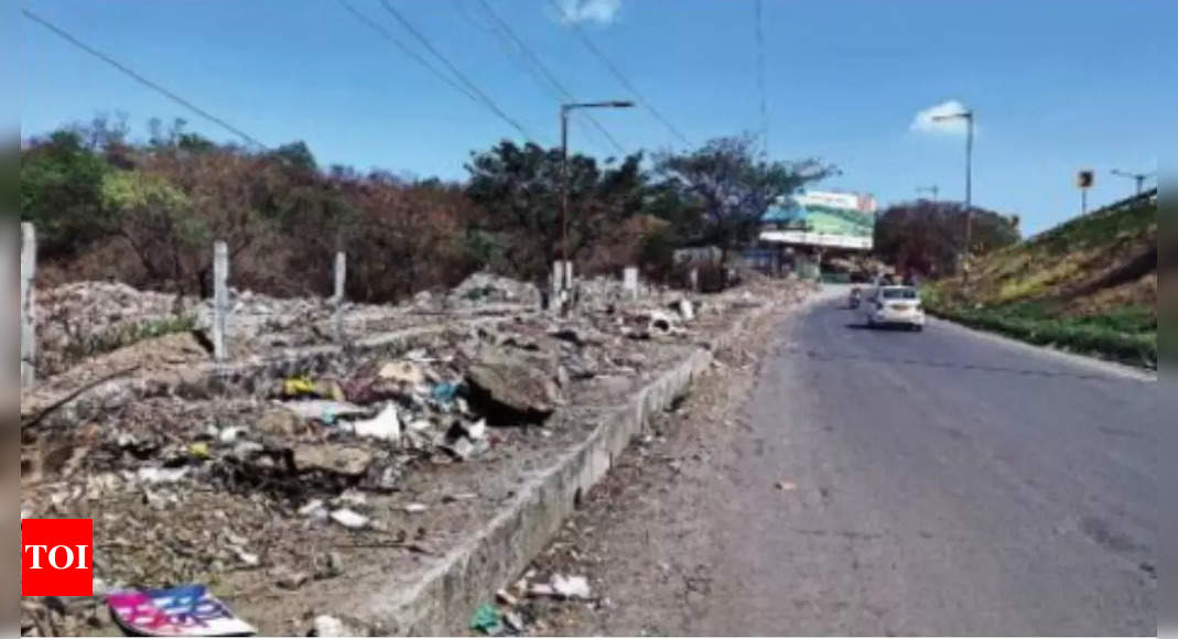 Service Road Between Wakad & Warje A Garbage Dumping Spot | Pune News