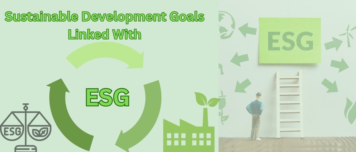 Sustainable Development Goals