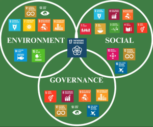 Sustainable Development: Aligning ESG with UN SDGs
