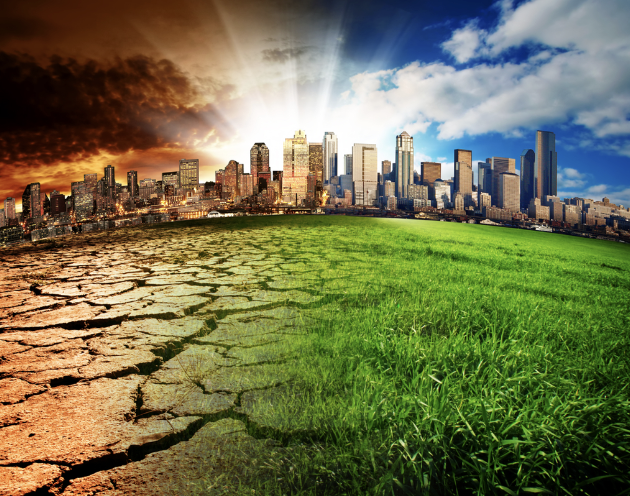 Climate Chaos: Adapting to the New Business Normal