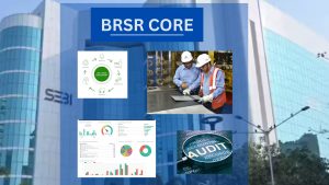 brsr core